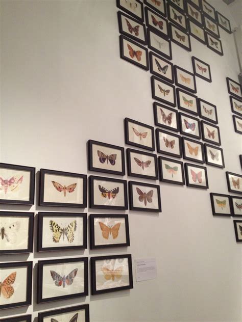 Butterfly Art Butterfly Art Gallery Wall Butterfly