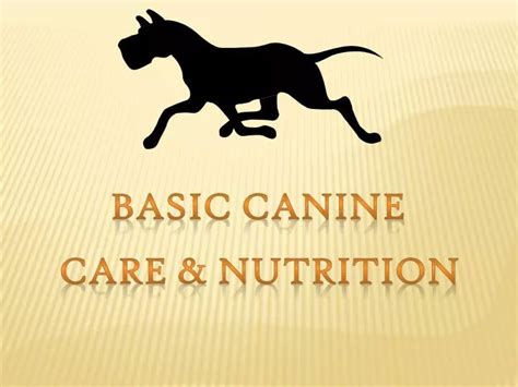 Ppt Basic Canine Powerpoint Presentation Free Download Id5545914