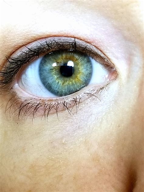 Ts4 Real Eyes Heterochromia Dangerouslyfreejellyfishcc Sims 4 Vrogue
