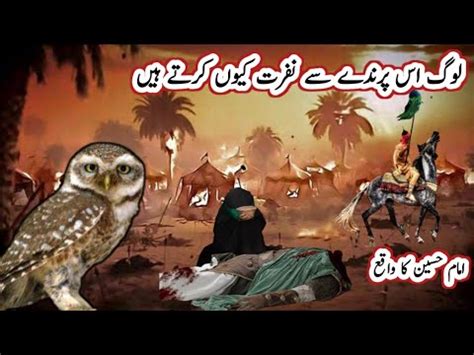 Hazrat Imam Hussain And Owl Story Imam Hussain As Aur Ullu Ki Kahani