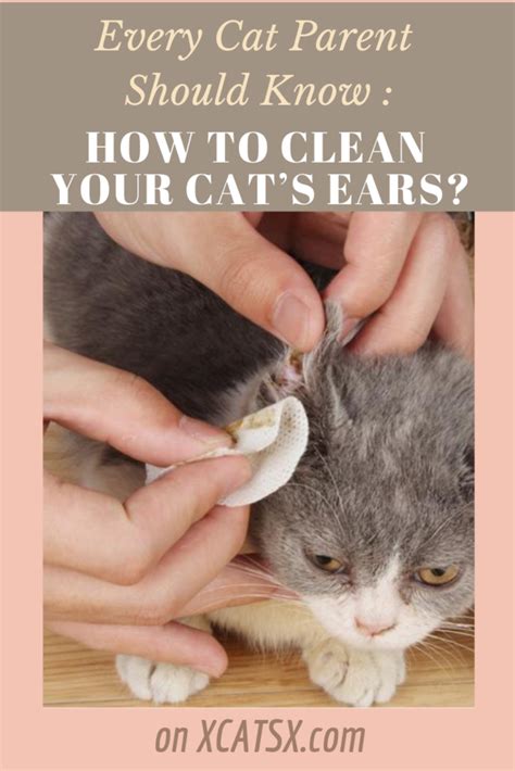 How To Clean Your Cats Ears In 2020 Pet Care Cats Cat Parenting