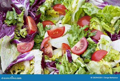 Closeup Of Mixed Lettuce Salad Stock Photo Image Of Dieting Macro