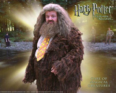 Rubeus Hagrid Harry Potter Wallpaper 385667 Fanpop