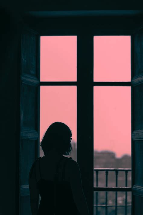 Looking Out The Window Pictures Download Free Images On Unsplash