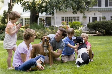 Children are especially susceptible to harm from pesticides, because their bodies and immune systems are still however, you'll still need to take care that kids and pets can't get into the bait traps. Why you should switch to Pet-friendly pest control this ...