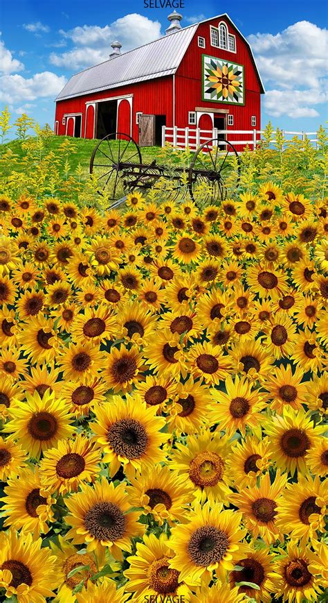Sunflower Farm C6475 Field And Barn Panel