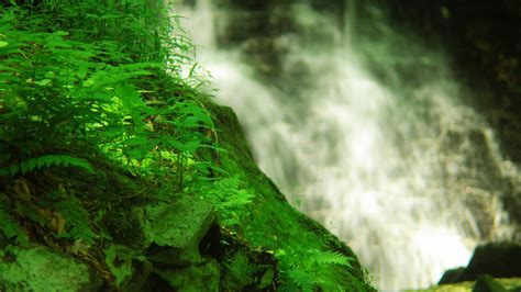 1920x1080 Grass Water Greens Waterfall Moss Plants Rock