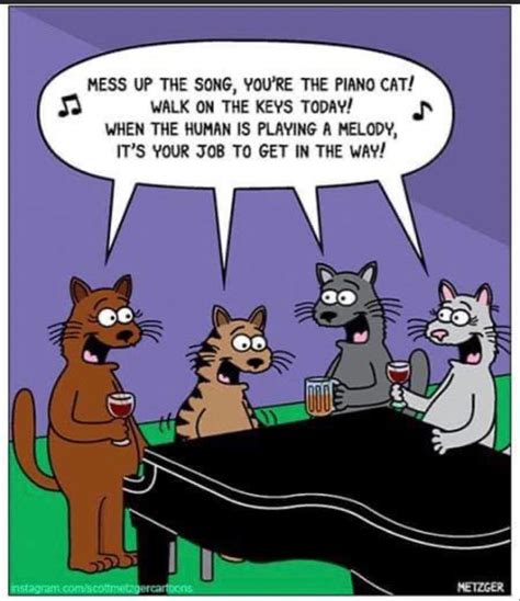 Pin By Ralphup On Animal And Pet Humor In 2020 Cat Jokes Crazy Cats