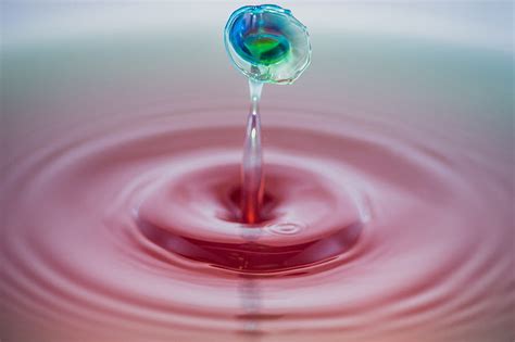 Shallow Focus Graphy Of Water Droplet Hd Wallpaper Peakpx
