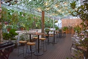 Review: Botanico at The Garage - New Menu In This Singapore Botanic ...