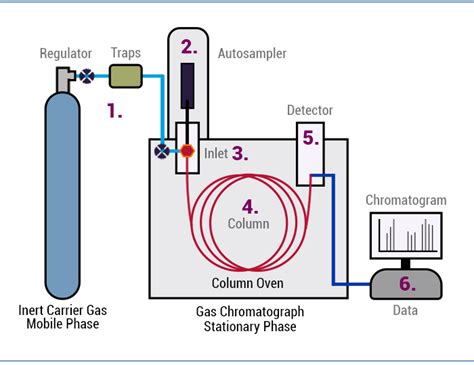Explicación De La Cromatografía De Gases Qué Es Y Cómo Funciona Jaru