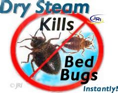 What temperature kills bed bugs instantly? Heat or Cold To Kill Bed Bugs - The BedBug Exterminators