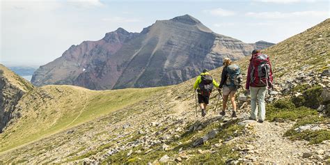 Guided Hiking Trips Glacier National Park Us National Park Service