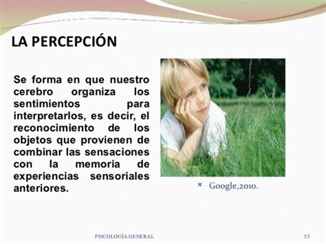 Cuadros Comparativos Entre Sensación Y Percepción Diferencias Cuadro