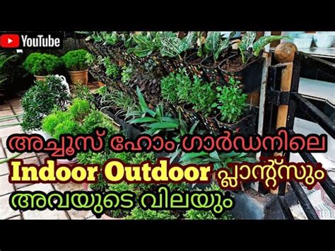 Anu sithara harvests a watermelon from her home as we were constantly on the movie, we never had enough time to shift to our new home in wayanad. Indoor Outdoor Plants & Their Price | Achoos Home Garden ...
