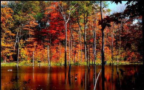 1080p Free Download Autumn On Concord Pond Fall Autumn Lakes