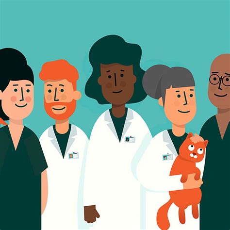 Veterinarian Denver, CO 80216 | WellHaven Pet Health Denver