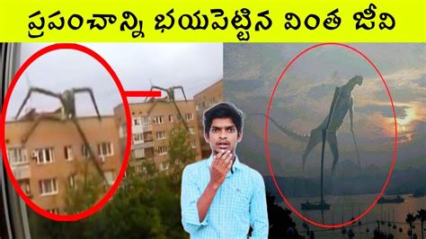 Top 15 Interesting Facts Amazing Facts Telugu Interesting Facts