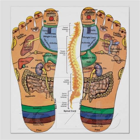 Afbeeldingsresultaten Voor Foot Acupuncture Points Chart Foot