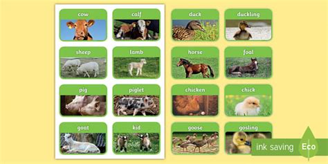 Article by pam from over the big moon. Animals and their Babies Printable Flashcards (teacher made)