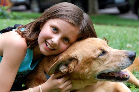 400 多张免费的“微笑的狗”和“狗”照片 Pixabay