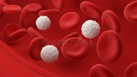 Red And White Blood Cells Leukocytes And Erythrocytes Stock