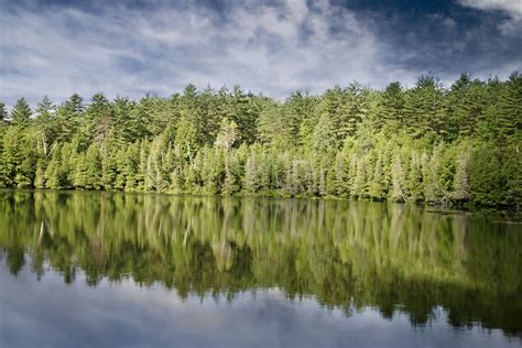 Free Images Landscape Tree Water Nature Forest Grass Marsh