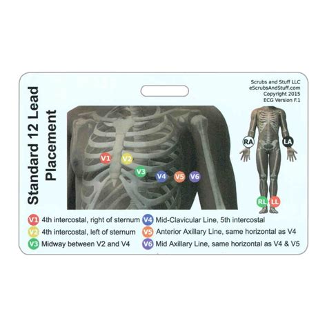 Ekg 12 Lead Placement Horizontal Badge Card With Images Medical
