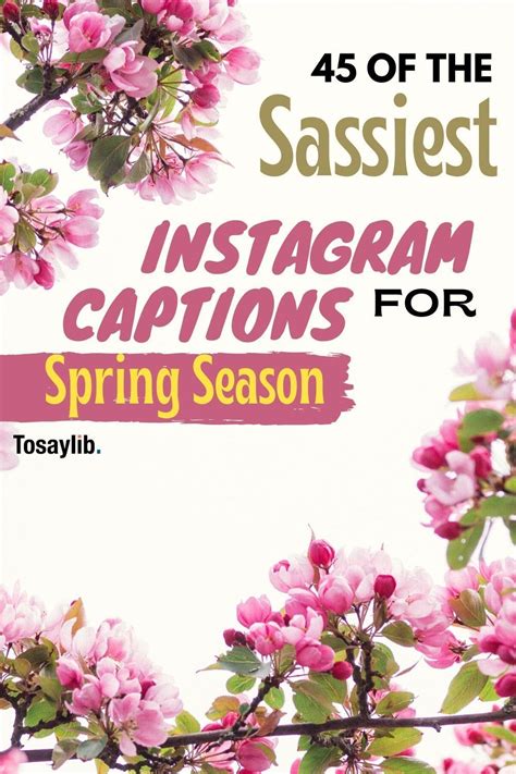45 Captivating Instagram Captions To Embrace The Spring Season