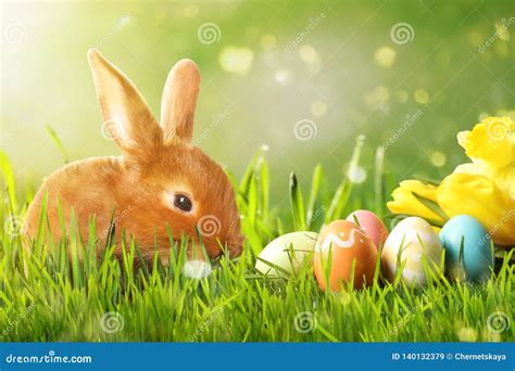 Adorable Easter Bunny And Colorful Eggs On Green Grass Stock Image