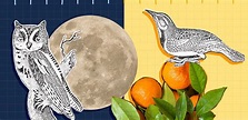 Night owl or early bird? Take our chronotype quiz to discover your ...
