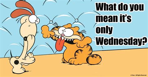 Nothing Ruins A Friday Like Realizing Its Only Wednesday Garfield