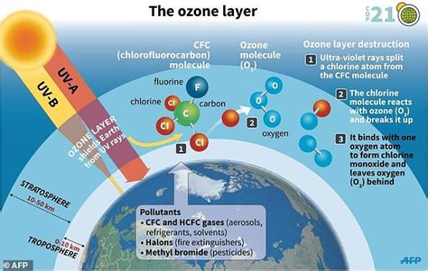 Ozone In The Air Has Increased By 40 Since The Industrial Revolution