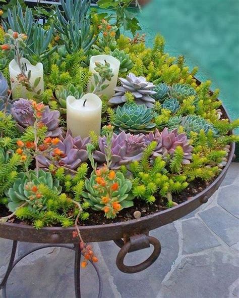 Creative Indoor And Outdoor Succulent Garden Ideas