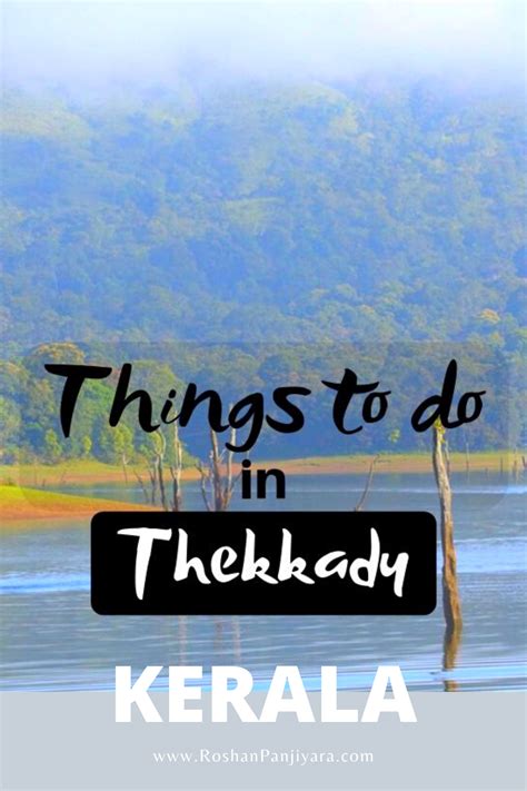 11 Famous Activities To Enjoy At Thekkady For Charming Vacation