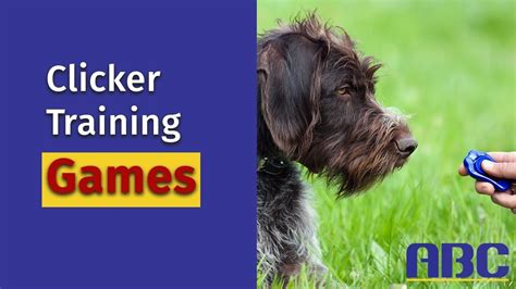 Clicker Training Games For Beginners Youtube