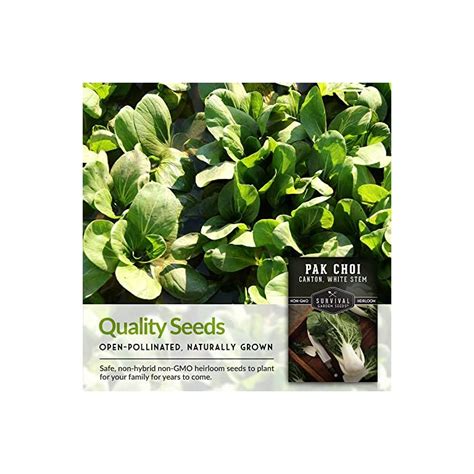 Survival Garden Seeds Canton White Stem Pak Choi Or Bok Choy Seed For