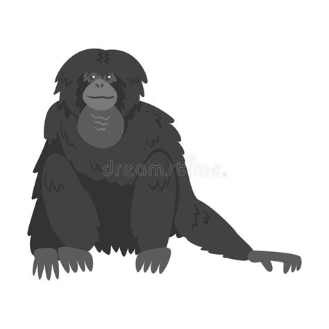 Siamang Monkey As Arboreal Black Furred Gibbon Vector Illustration