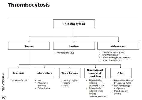 Causes Of Thrombocytosis Differential Diagnosis Algorithm Spurious