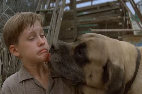 The Sandlot 20th Anniversary 20 Reasons It Was The Greatest Movie Ever