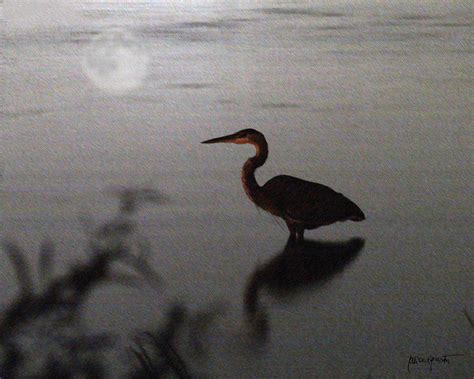 Crane With Moon Photograph By Lawrence Kaster Fine Art America