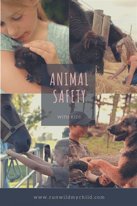 Animal Safety With Kids • Run Wild My Child