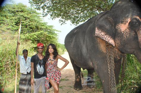 Maybe you would like to learn more about one of these? Deepthika Jayakodi | Pics Lanka.com
