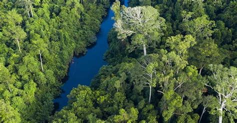 Nestlé Joins Billion-Dollar Industry Initiative Tackling Southeast Asia