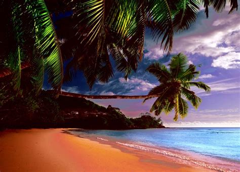 Tropical Beach Paradise Island Wallpapers Wallpaper Cave