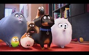 The Secret Life Of Pets Official Trailer #3