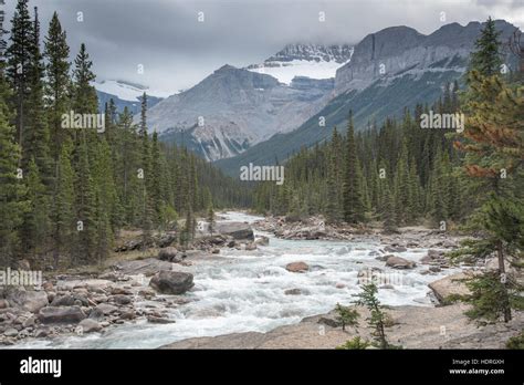 Overcast Day In The Canadian Rockies At Mistaya Canyon Stock Photo Alamy