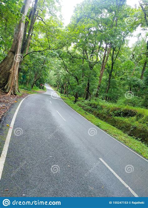 Kerala Road Stock Image Image Of Beauty India Road 155247153