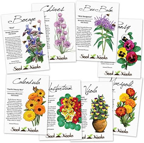 Top 18 Flower Seed Packets For 2019