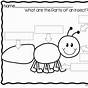 Insect Worksheets For Preschool